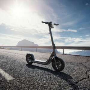 Egret X core – Bild 3